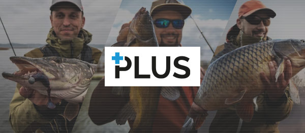 Jeux de pêche : gratuit, 3D, carpe, carnassier Lequel choisir ?